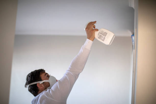 Best Crawl Space Mold Removal  in Linn, MO