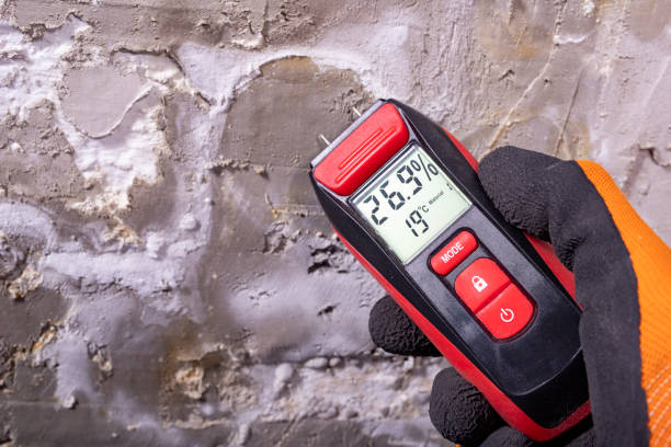 Best Commercial Mold Removal  in Linn, MO