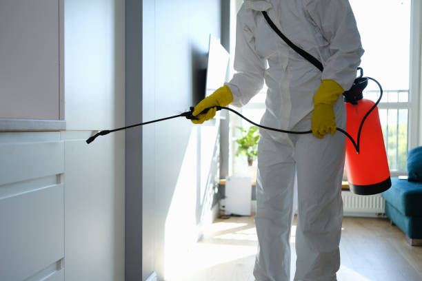 Mold Removal Process in Linn, MO