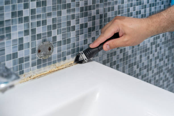 Best Home Mold Removal  in Linn, MO